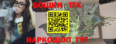 гашик Будённовск