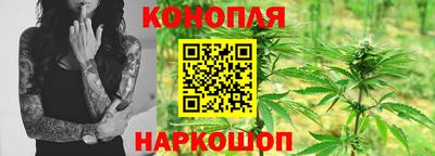 гашик Будённовск