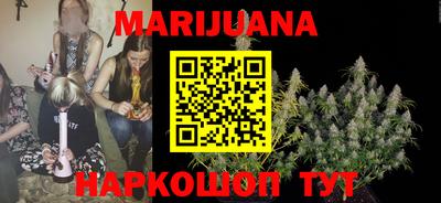 гашик Будённовск