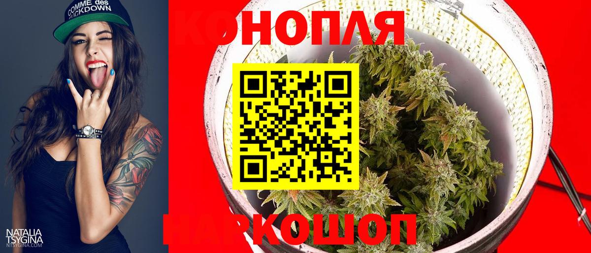 Тара  Шишки марихуана конопля  Вход с VPN  Бошки марихуана тримм  Бошки Шишки LSD WEED  Каннабис LSD WEED 