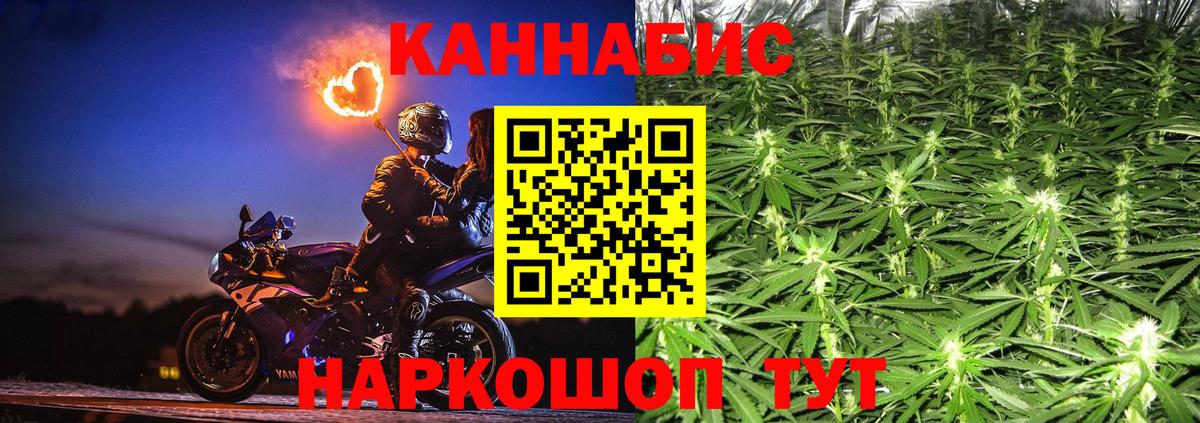 Бошки Шишки сатива Тара